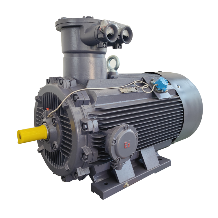 Low Voltage Explosion Proof Motors.png