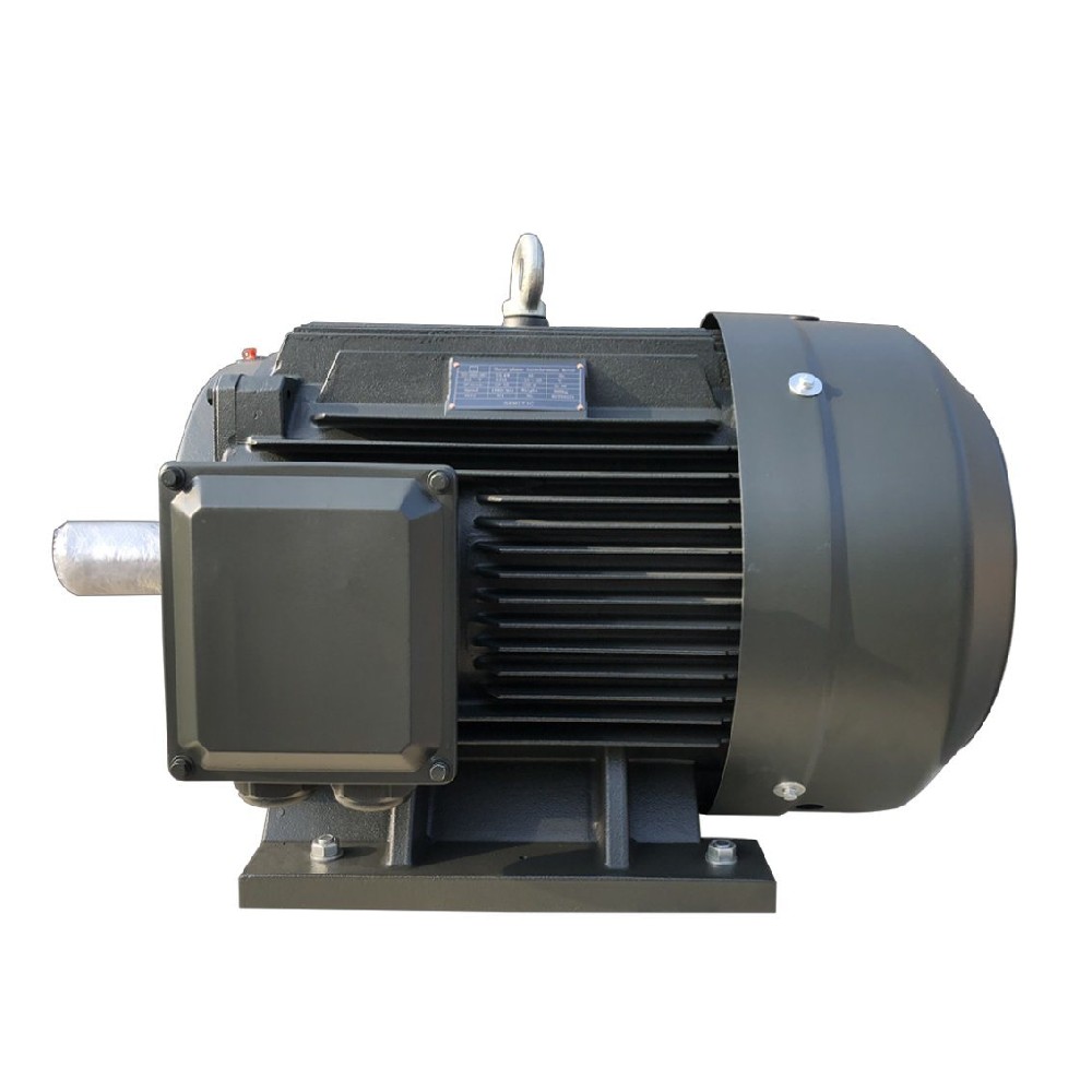 YE series asynchronous motors.jpg
