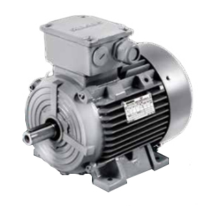 1LE08 low-voltage AC asynchronous motor